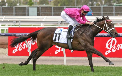 Winx Stakes 2024 – Field Preview, Odds, Horses, Speed Map .